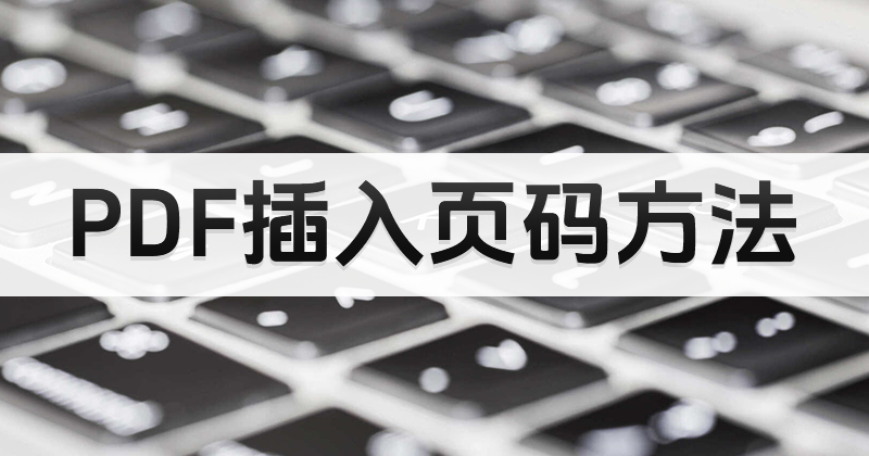 PDF添加页码办公场景配图