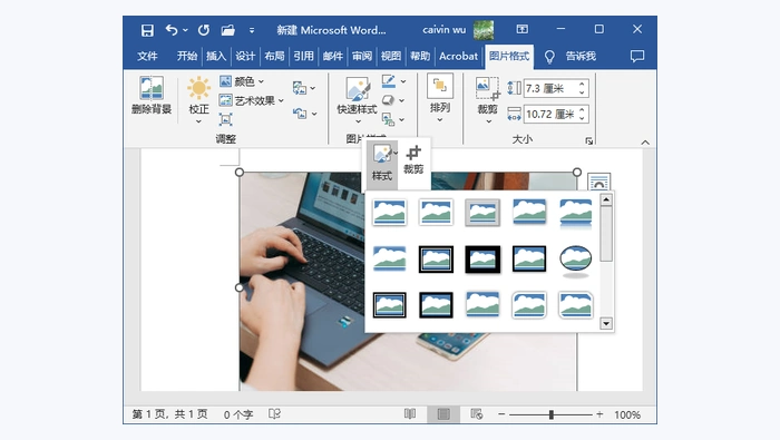 使用Adobe Acrobat图2