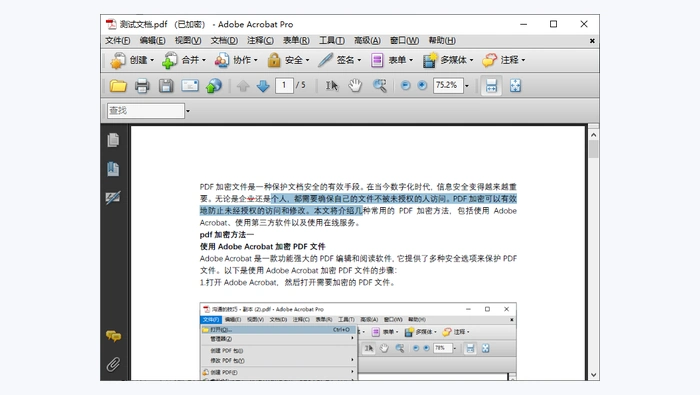 Adobe Acrobat Pro修改pdf图2