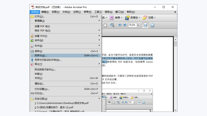 Adobe Acrobat Pro修改pdf图3