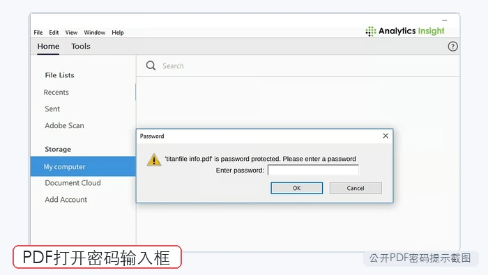 PDF打开密码输入框截图