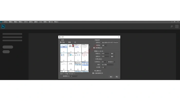 Photoshop 导入 PDF 对话框中选择页面与分辨率