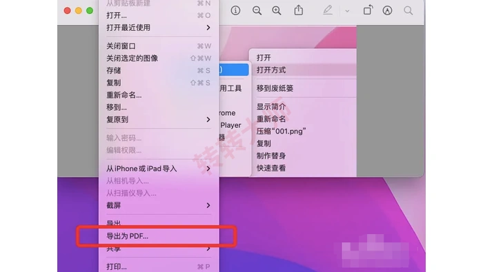 Mac 预览应用文件菜单中的导出为 PDF