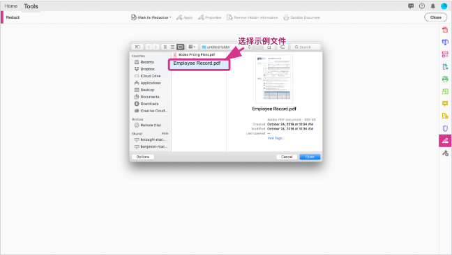 选择需要执行密文处理的 PDF 文件